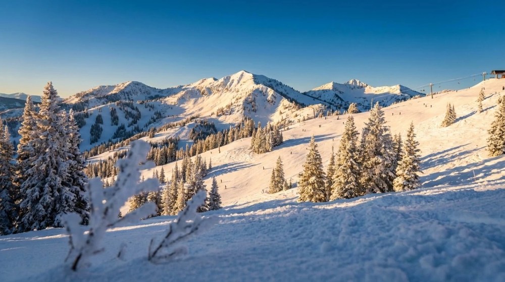 Snow-covered mountain landscape with trees and clear blue sky.